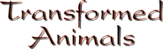 Transformed Animals